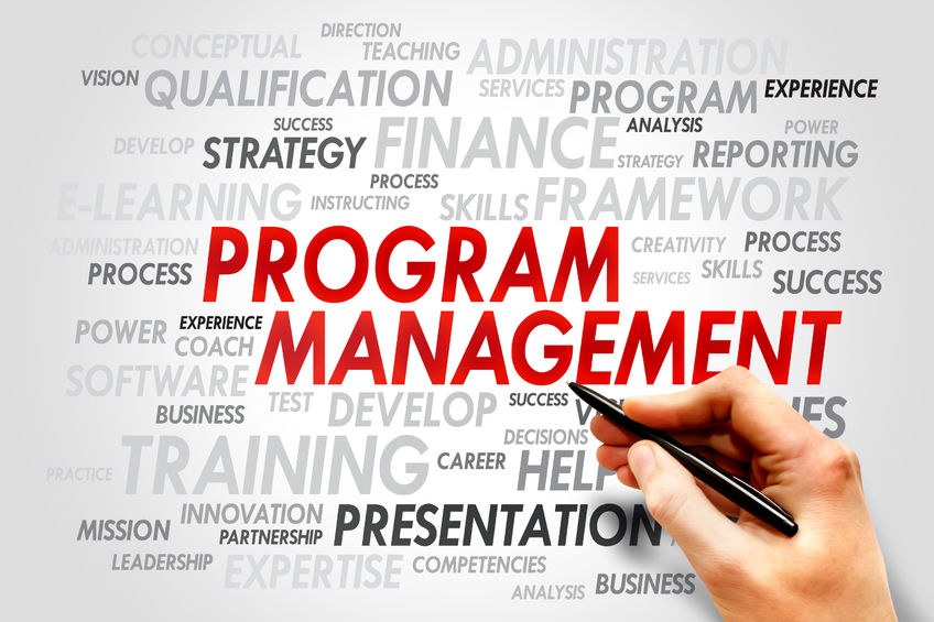 Definition Program Management CorpExcellence Com